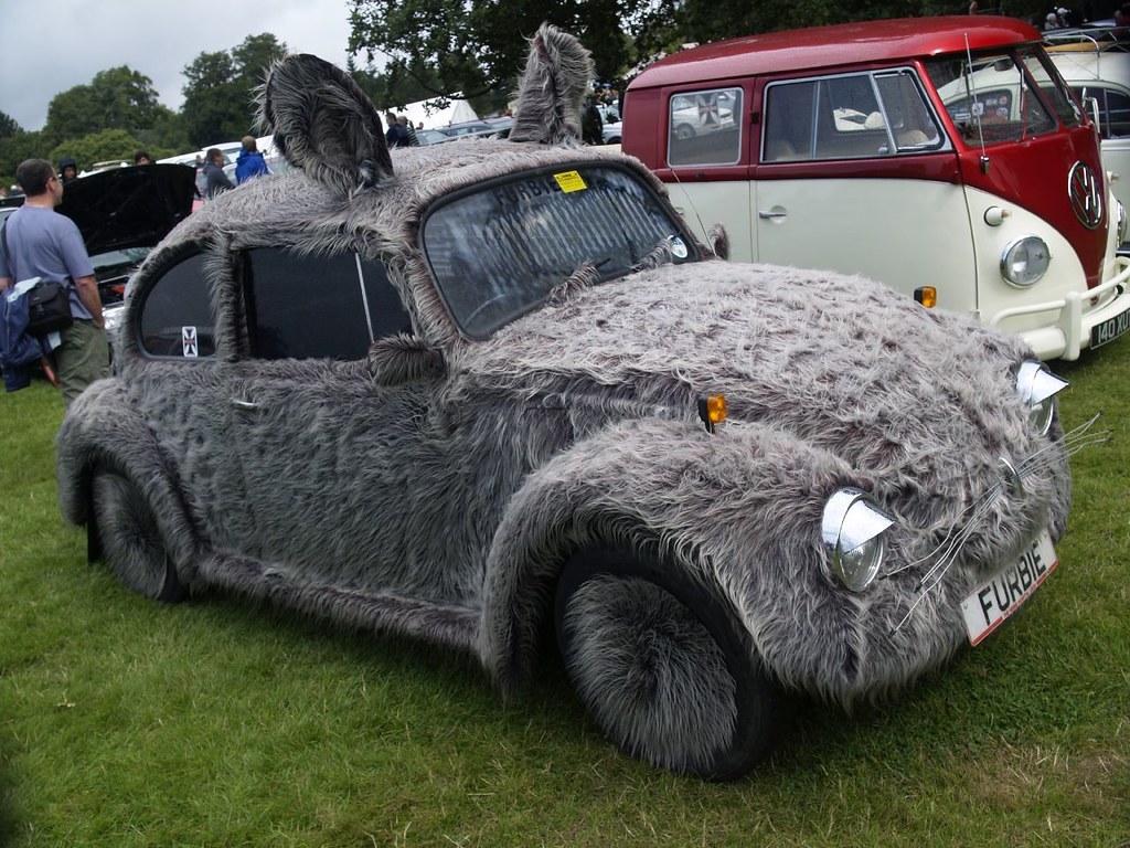 Eared fluffy - Auto, Volkswagen, Volkswagen beetle, Fur, Ears