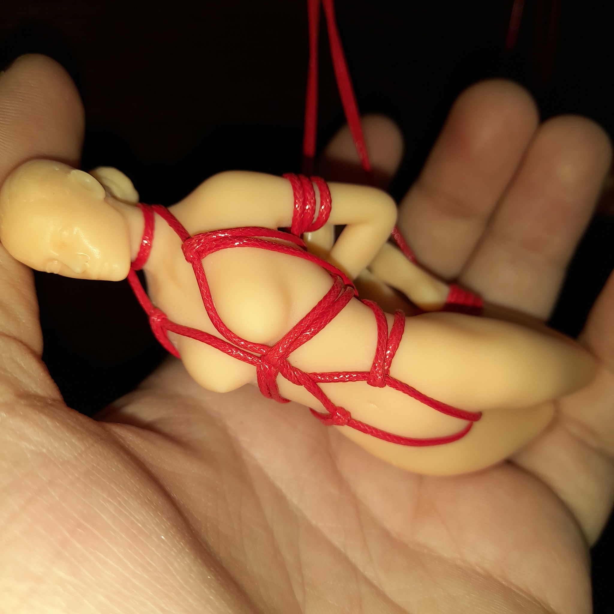 I love 3D printers, they allow you to do everything in different quantities)) Yes, and people like it - NSFW, My, 3D печать, 3D modeling, Shibari, Bondage, Longpost