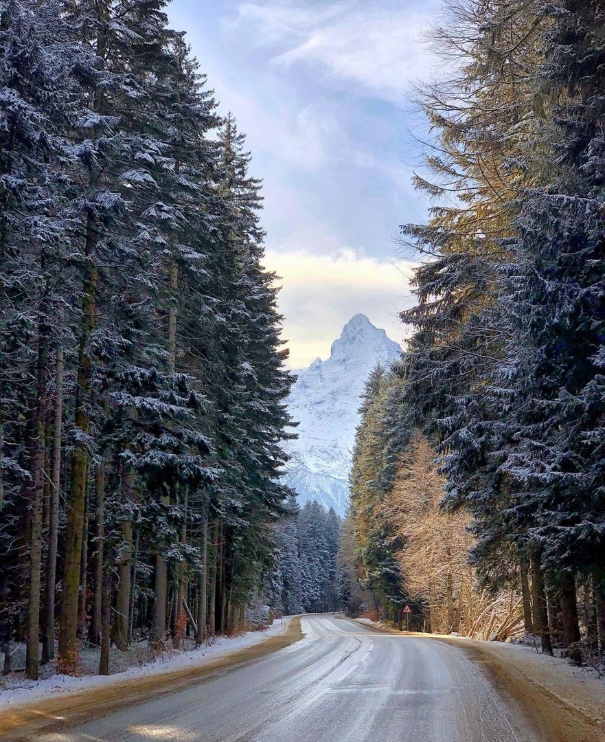 Dombay - The photo, beauty, Russia, Road, Dombay, Nature, beauty of nature, The nature of Russia, Forest, The mountains, Landscape, Karachay-Cherkessia