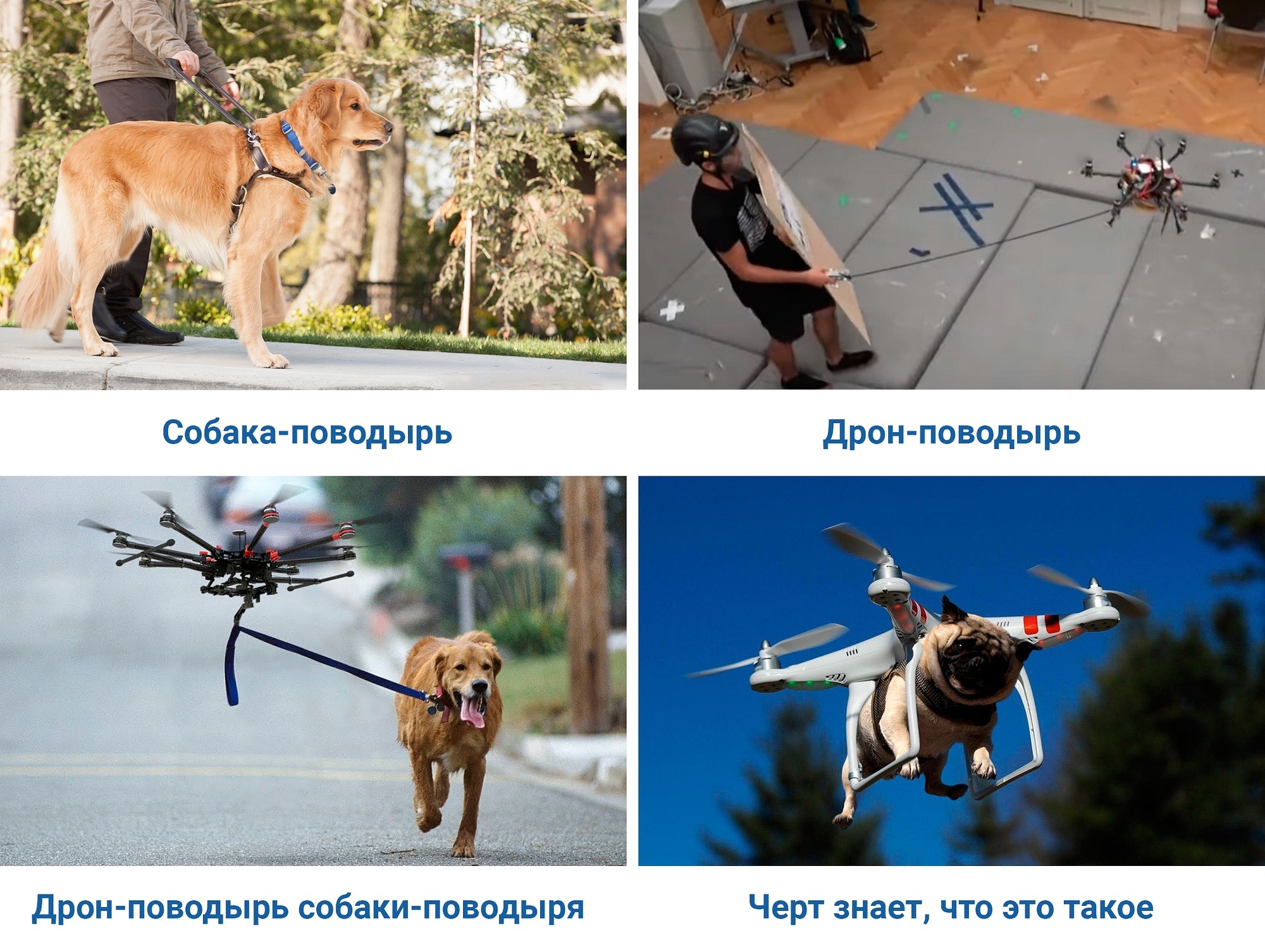 News No1358: The drone was taught to work as a guide - My, Obrazovach, Memes, Technologies, Dog, Guide, Guide-dog, Drone