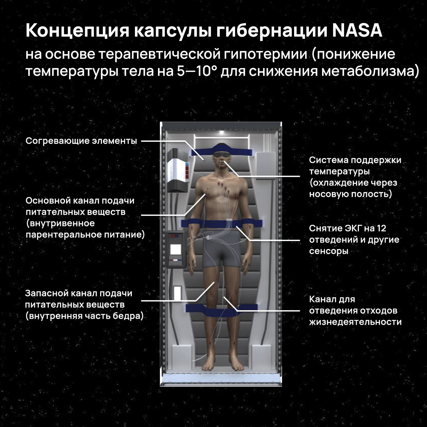 Гибернация — не научная фантастика? ESA исследует возможности для полётов к Марсу и в дальний космос - Моё, NASA, Esa, Космонавтика, Марс, Имбп, Длиннопост