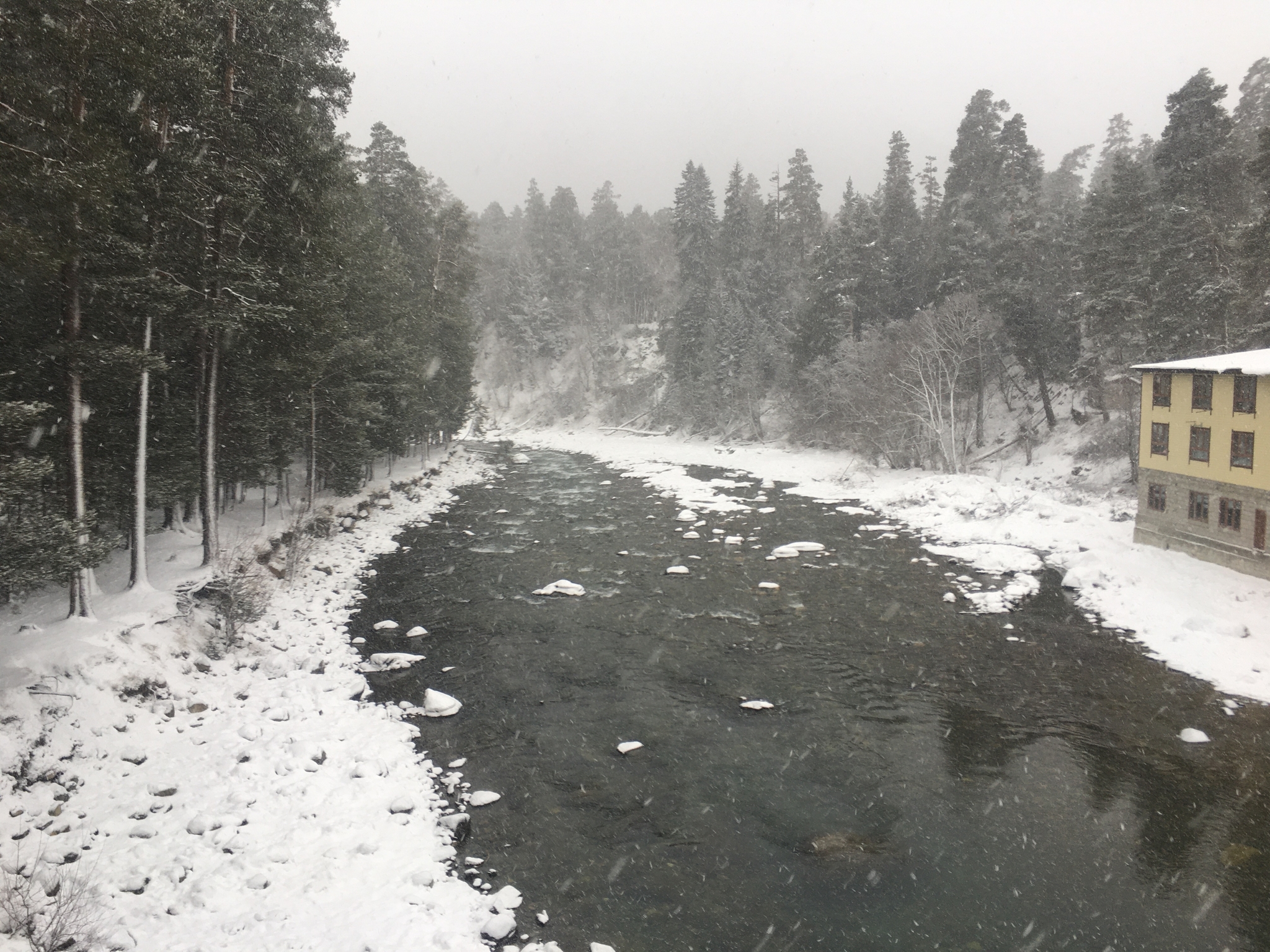 Arkhyz - My, Arkhyz, The mountains, Travels, Beautiful view, Snow, Longpost, The photo, Winter, Forest, Landscape