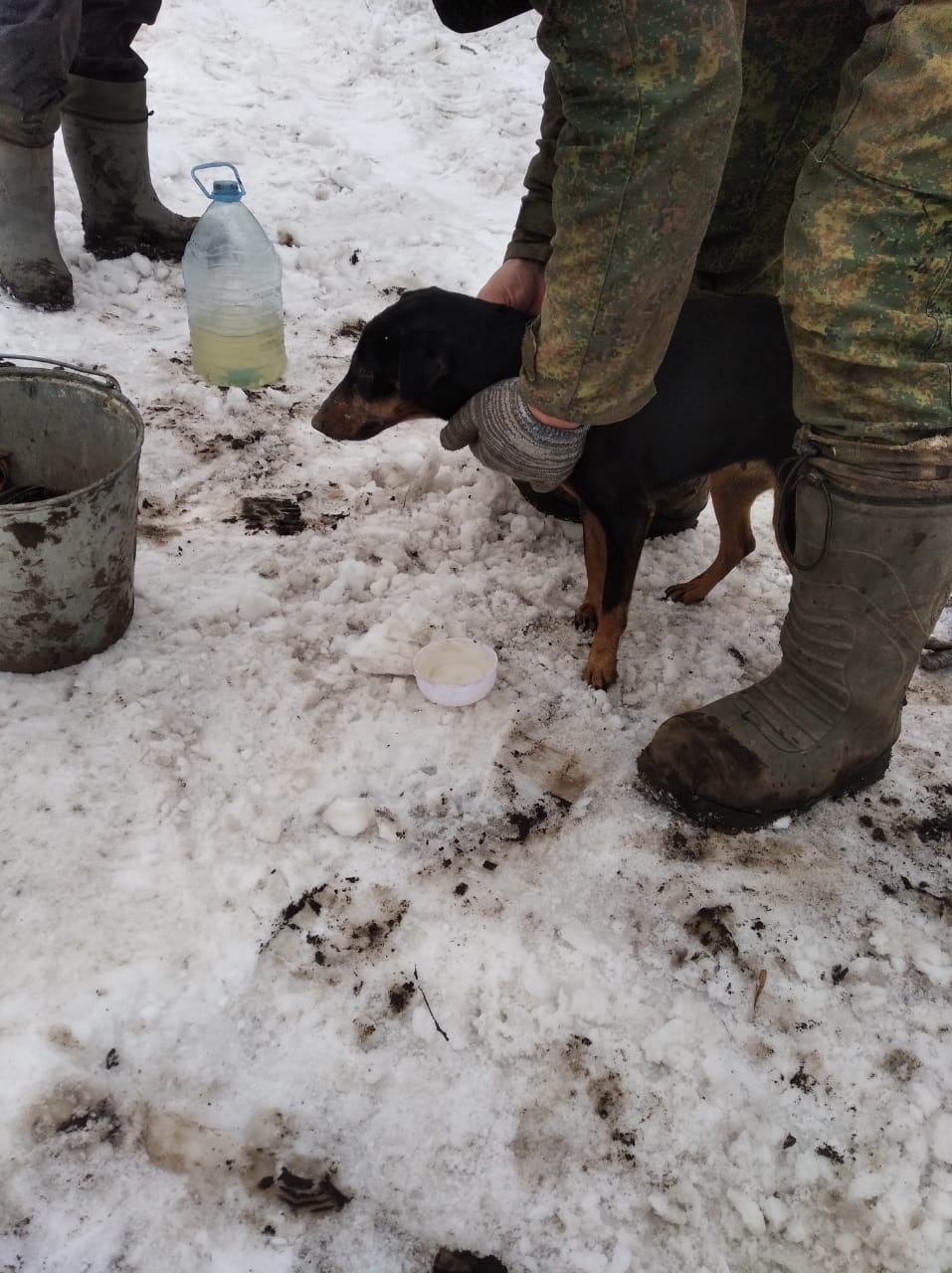 A hunter from the Kursk region searched underground for his dog for 5 days - The rescue, Lost, Animal Rescue, Kindness, Miracle, Positive, Kursk region, Video, Longpost