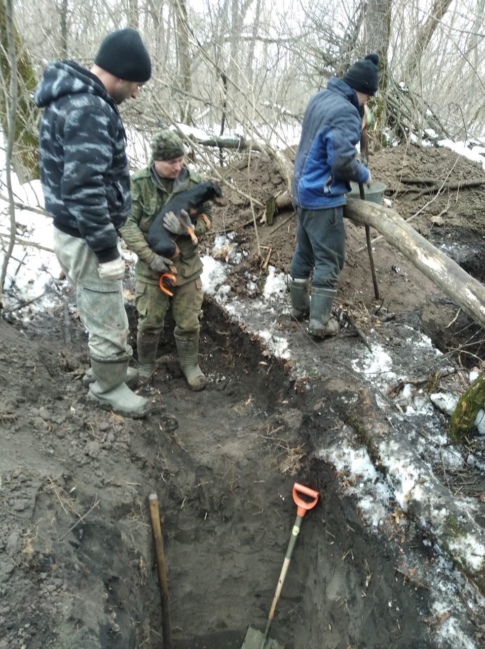 A hunter from the Kursk region searched underground for his dog for 5 days - The rescue, Lost, Animal Rescue, Kindness, Miracle, Positive, Kursk region, Video, Longpost