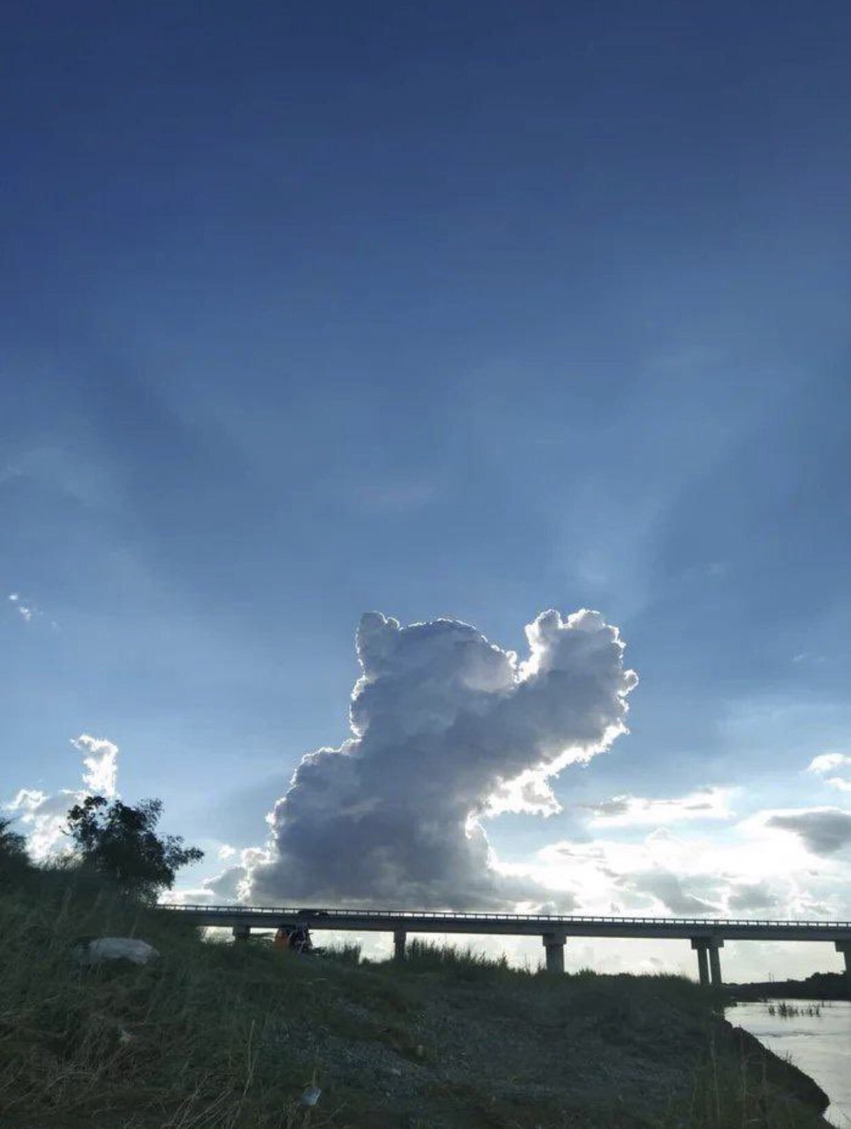 Celestial Kote - cat, Sky, Clouds, Pareidolia