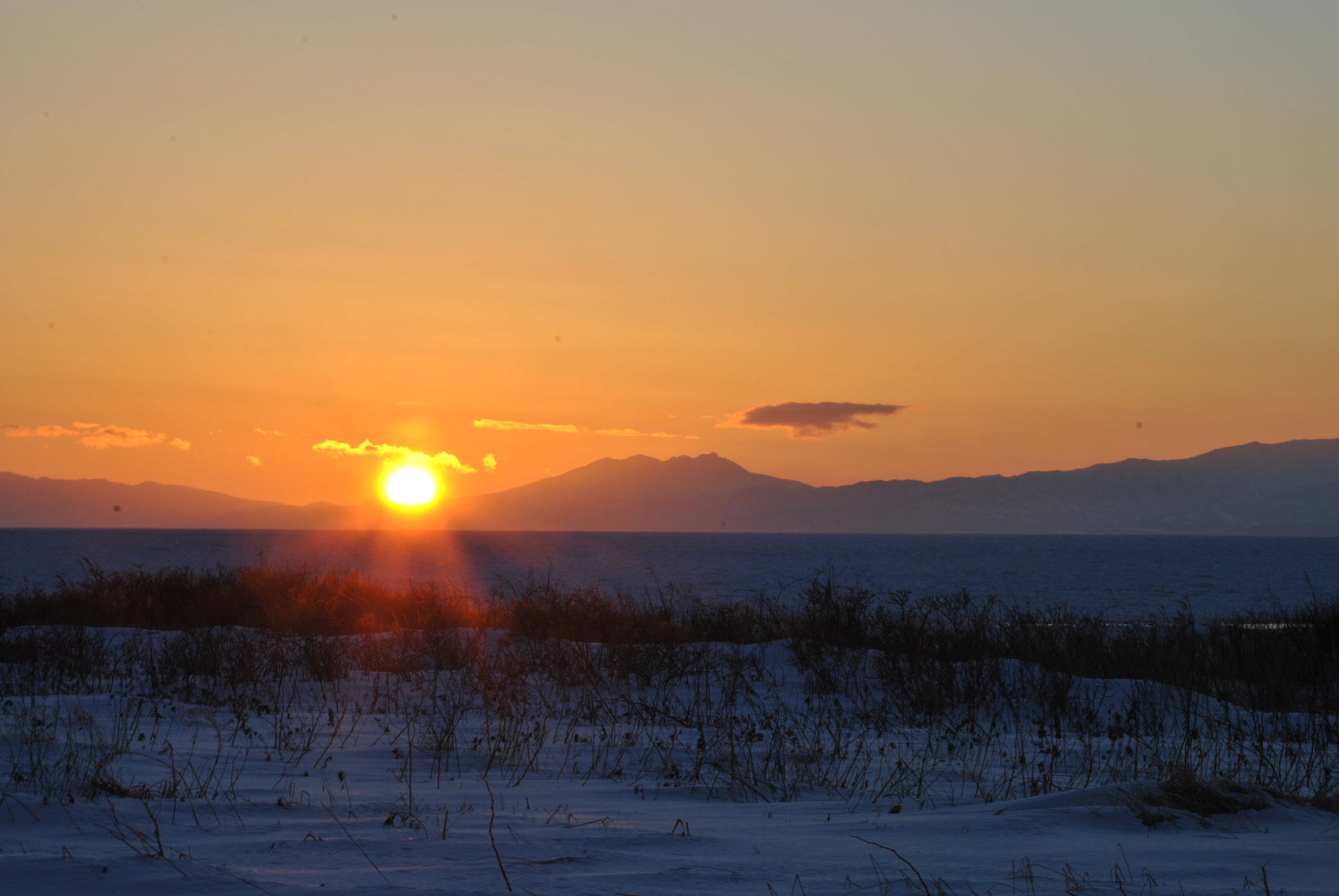 Notes of the State Inspector (part 12). How we went to count eagles - My, Kunashir, South Kurils, Reserves and sanctuaries, Predator birds, Eagle, Sea of ??Okhotsk, Ice floe, Carlson, Longpost