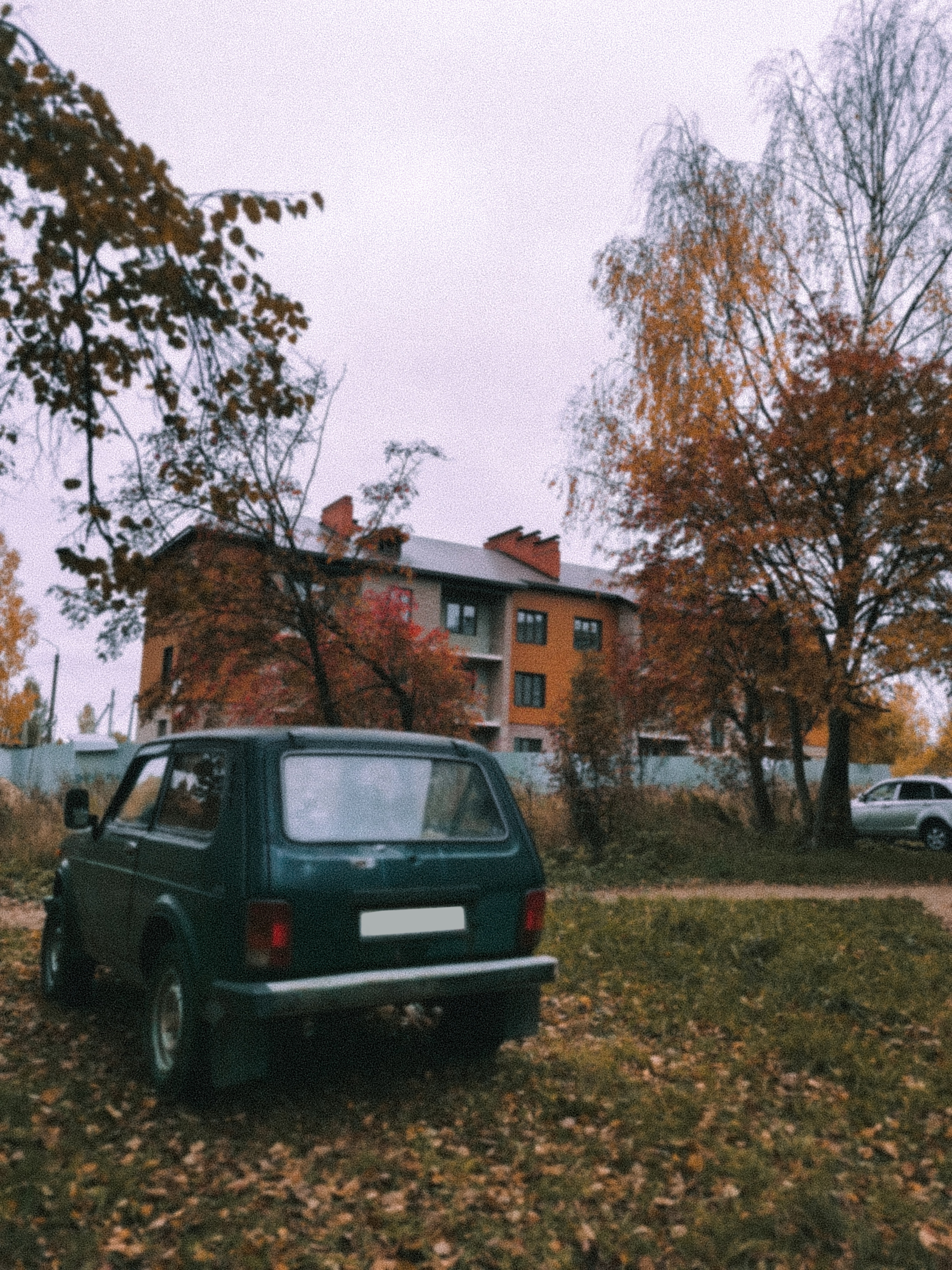 Russian hinterland [5] - My, The photo, Provinces, Kostroma, cat, Dog, Autumn, Summer, Longpost