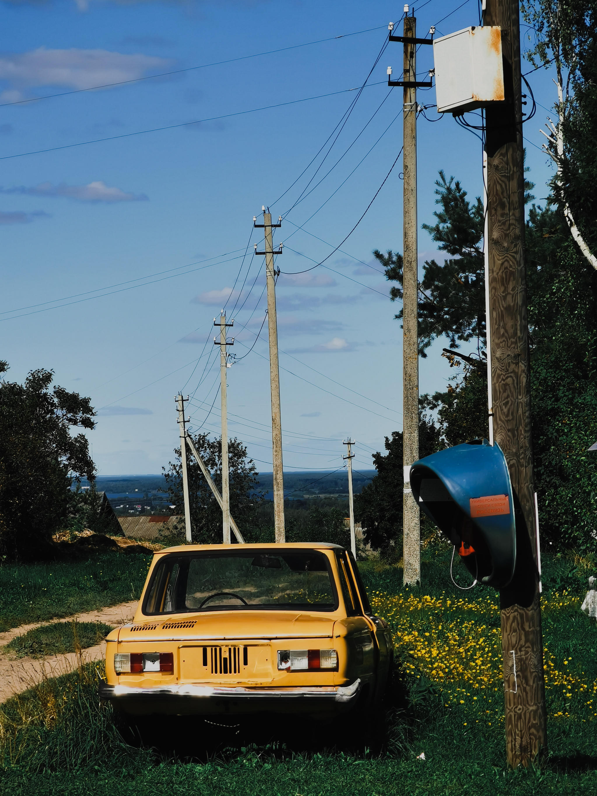 Russian hinterland [5] - My, The photo, Provinces, Kostroma, cat, Dog, Autumn, Summer, Longpost