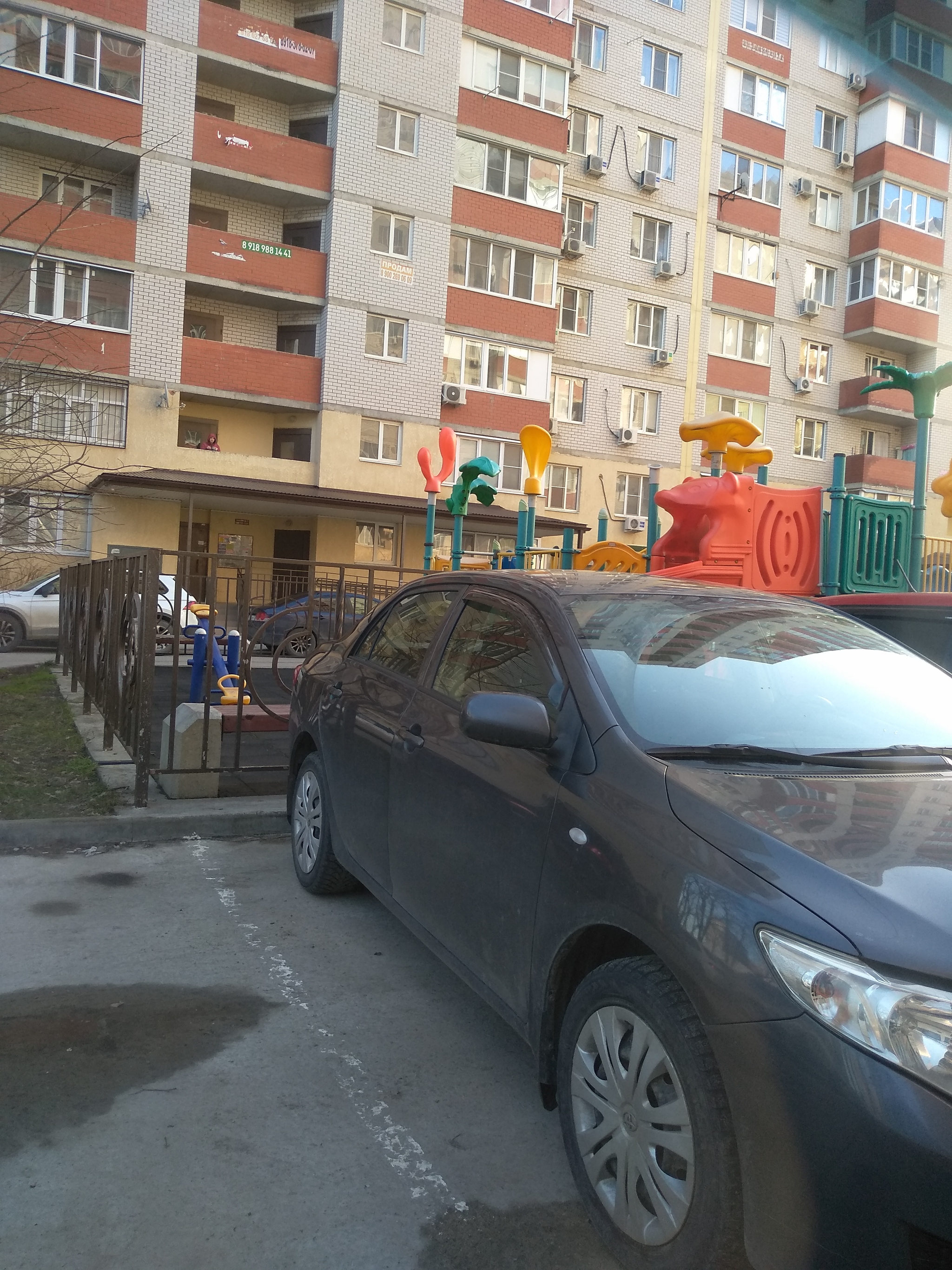 Strange mushrooms on the playground - My, Playground, Courtyard, Longpost