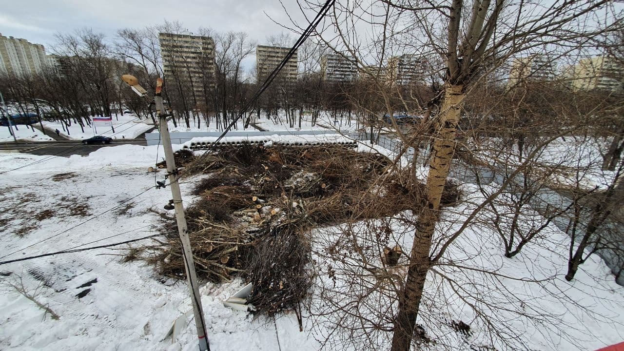 Renovation according to Sobyaninsky - My, Renovation, Moscow, Ecology, Video, Longpost