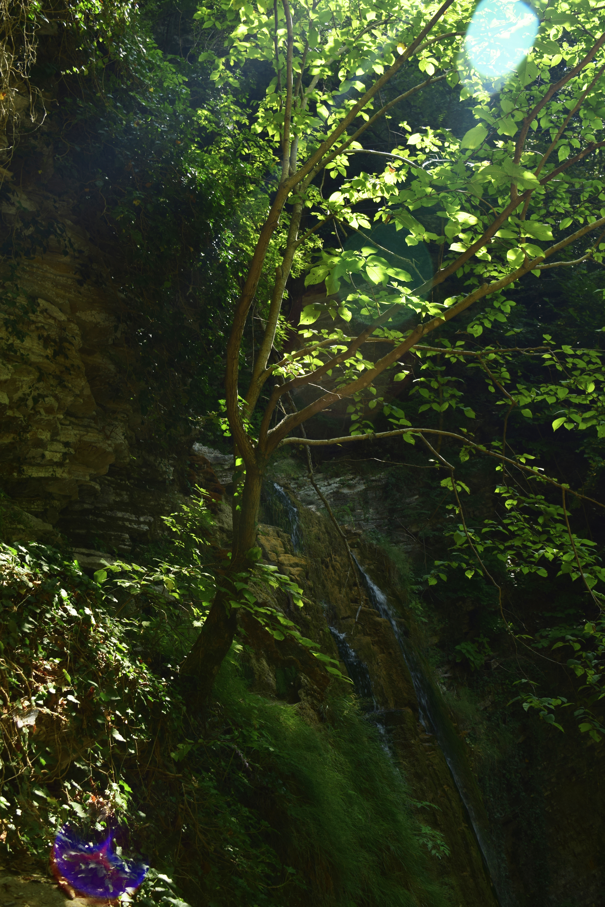 Serenity - My, The photo, Vacation, Summer, Forest, Waterfall, The rocks