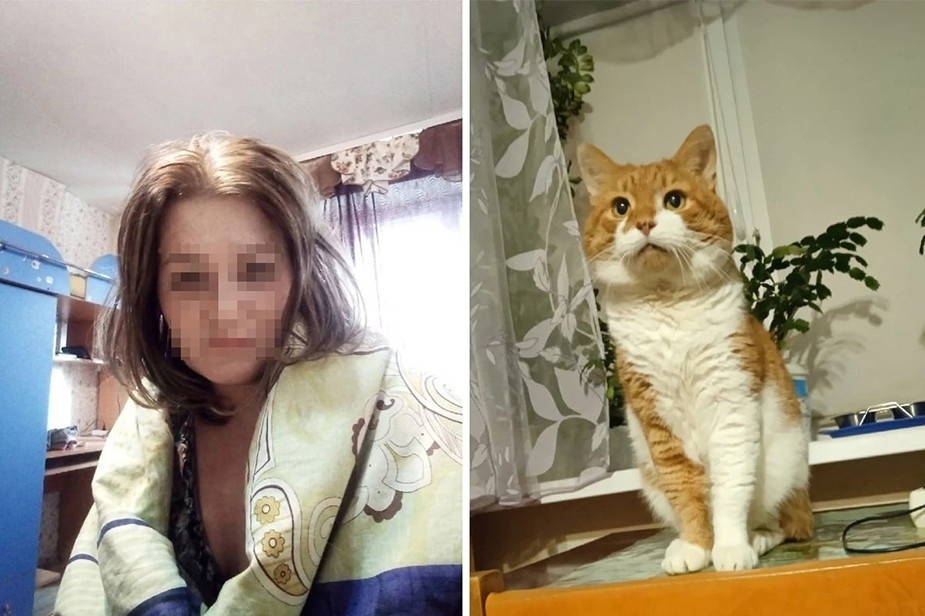 Tormentors of the cat Kuzi received real terms - cat, Flailing, Severodvinsk, Court, Pets, Longpost, Negative