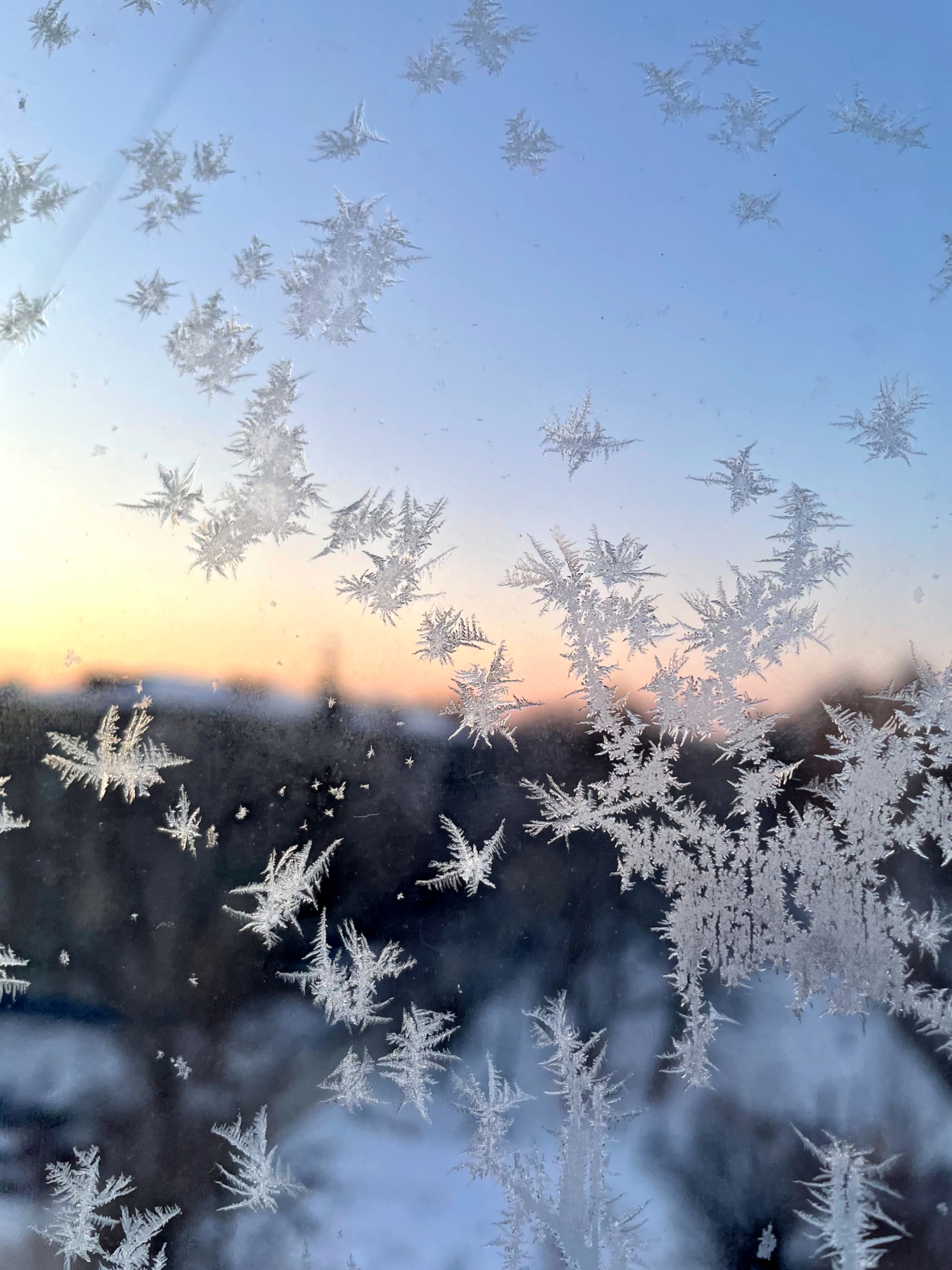 Snowbirds - My, Mobile photography, Patterns on the window, Longpost