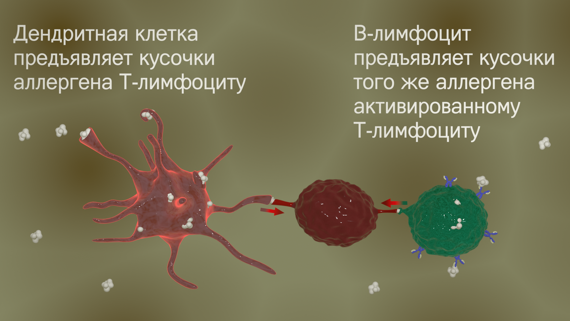 Наши внутренние войска: классика аллергии | Пикабу