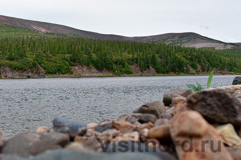 Some more photos from the upper reaches of the Anadyr River - My, Tourism, Travels, Туристы, Travel across Russia, Anadyr, River, North, Chukotka, Nature, Travelers, Longpost, The photo