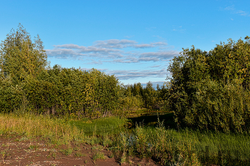 Some more photos from the upper reaches of the Anadyr River - My, Tourism, Travels, Туристы, Travel across Russia, Anadyr, River, North, Chukotka, Nature, Travelers, Longpost, The photo