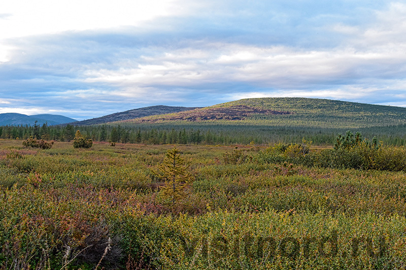 Some more photos from the upper reaches of the Anadyr River - My, Tourism, Travels, Туристы, Travel across Russia, Anadyr, River, North, Chukotka, Nature, Travelers, Longpost, The photo