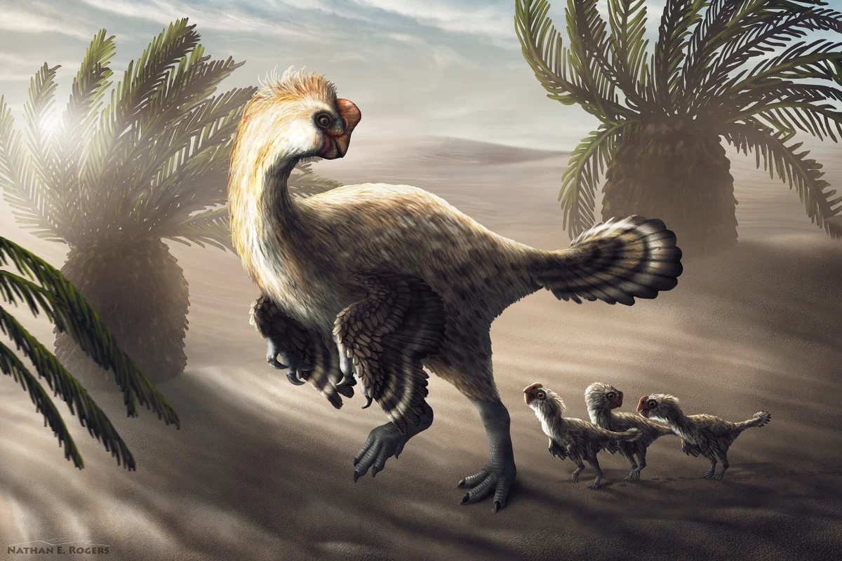Chitipati: A dinosaur that tried to be like a bird as much as possible. This reptile could become a Mongolian ostrich. - Dinosaurs, Chitipati, Extinct species, Paleontology, Animal book, Yandex Zen, Longpost