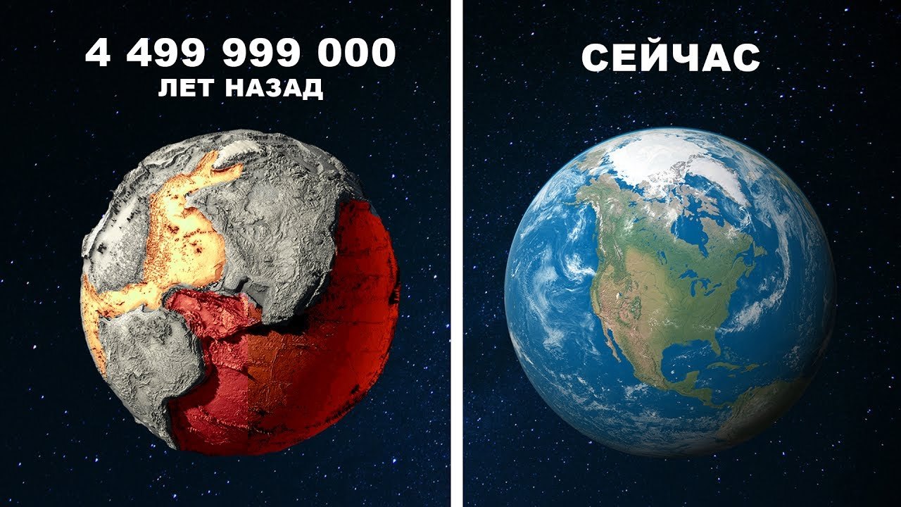 Бактерии высшая форма жизни? - Моё, Научпоп, Биология, Видео, Бактерии, Длиннопост