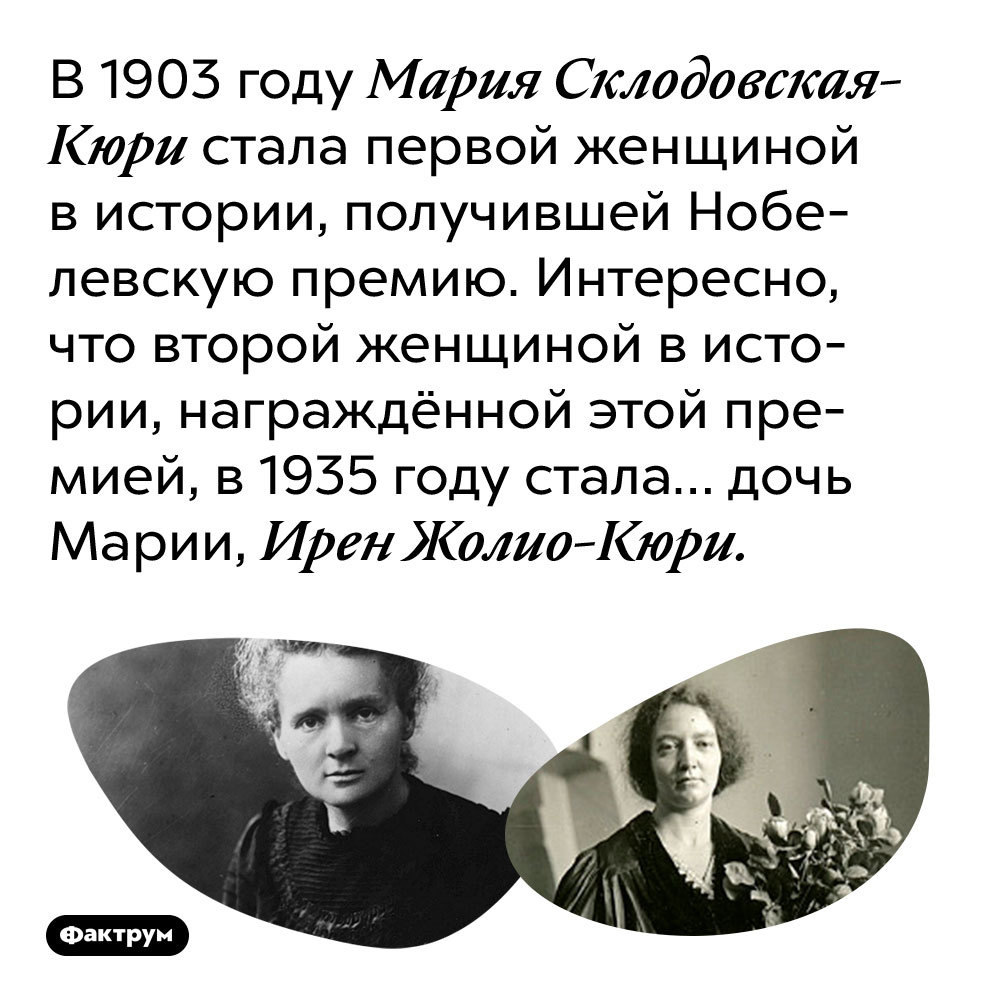 Интересные факты о номинантах и лауреатах Нобелевской премии: Толстой, Кюри, Эйнштейн, Толкин и другие - Фактрум, Познавательно, Факты, Подборка, Картинка с текстом, Ученые, Нобелевская премия, Длиннопост