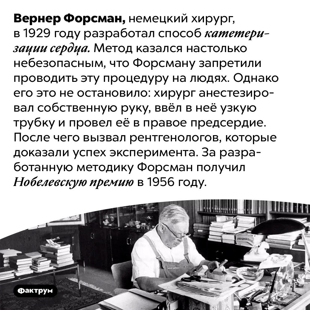 Интересные факты о номинантах и лауреатах Нобелевской премии: Толстой, Кюри, Эйнштейн, Толкин и другие - Фактрум, Познавательно, Факты, Подборка, Картинка с текстом, Ученые, Нобелевская премия, Длиннопост