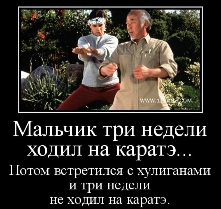 Karate Kid - Humor, Karate, Demotivator, Picture with text