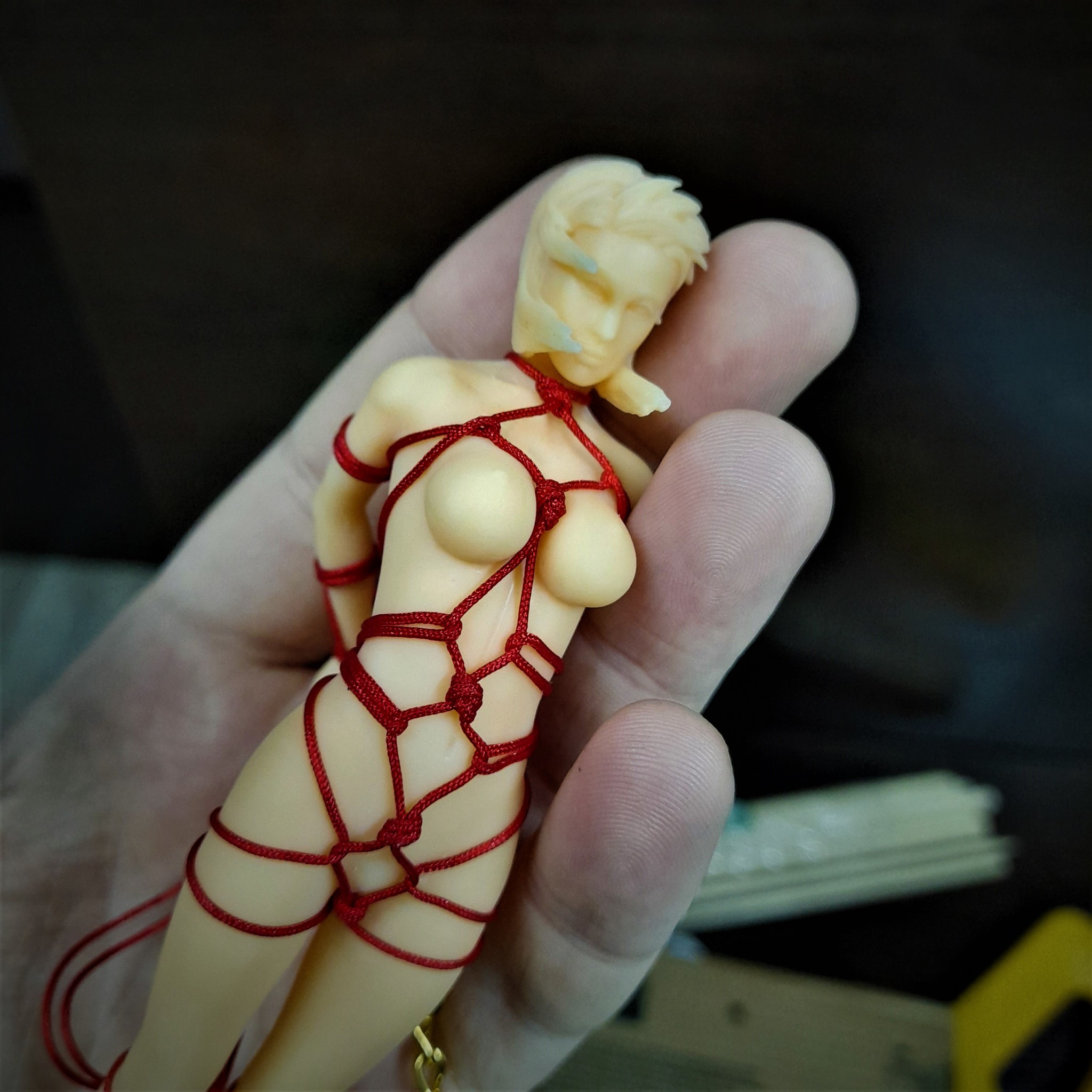 I continue to embody the perverse desires of perverts with the help of high technology =) - NSFW, My, 3D modeling, 3D печать, 3D printer, Shibari, Longpost