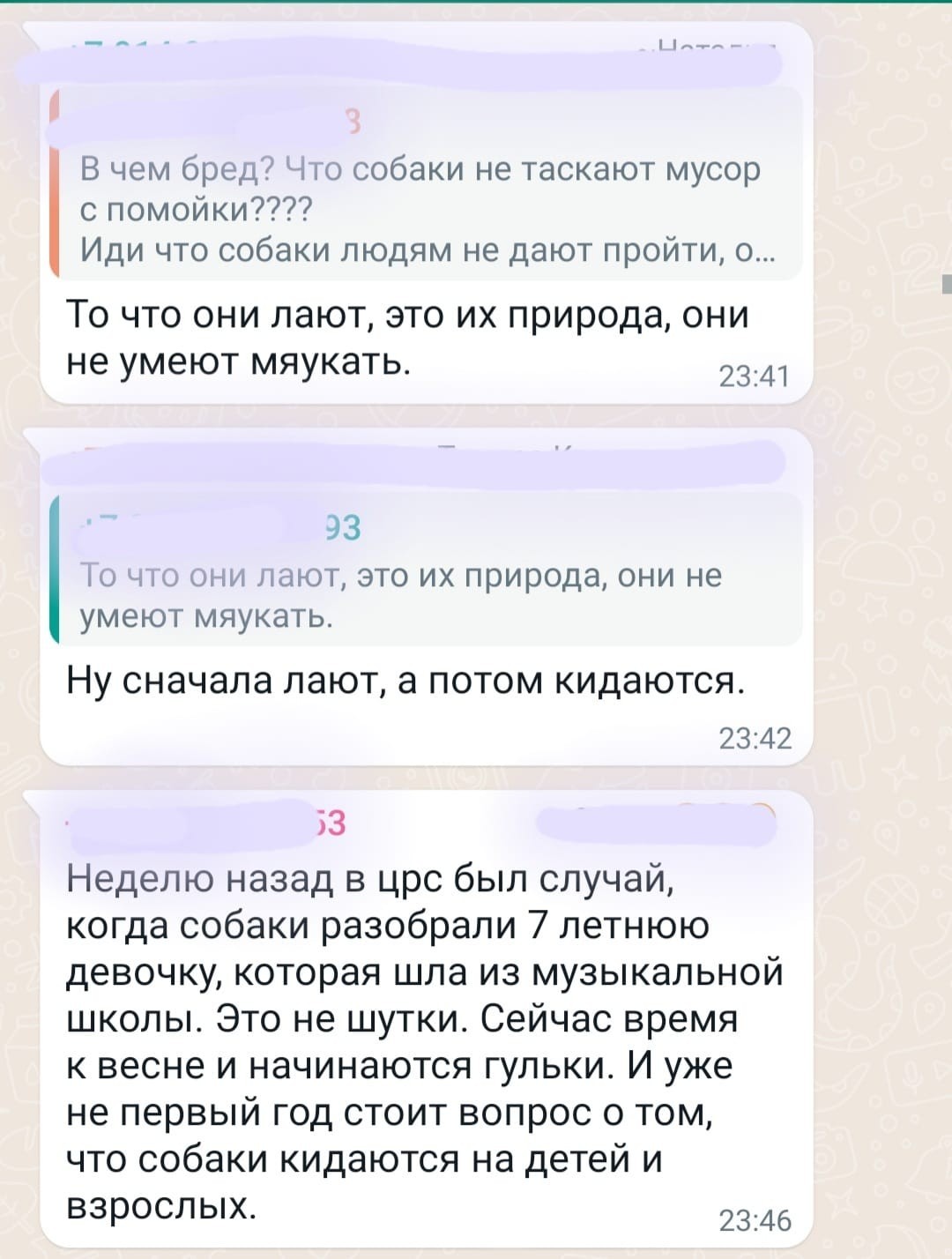 A national problem on the example of one village - My, Magadan Region, Chat room, Discussion, Homeless animals, Stray dogs, Longpost, Problem, Correspondence, Screenshot