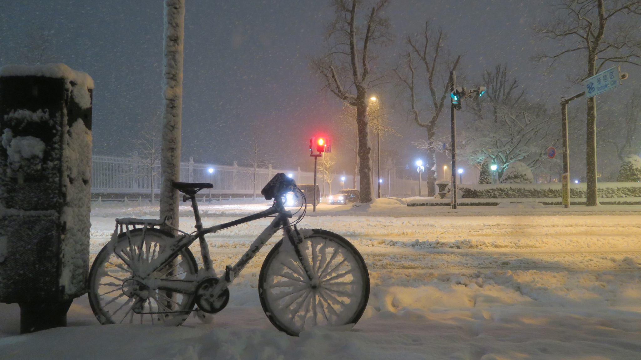 One winter day in Tokyo - My, Japan, Tokyo, Snow, Winter, The photo, Longpost