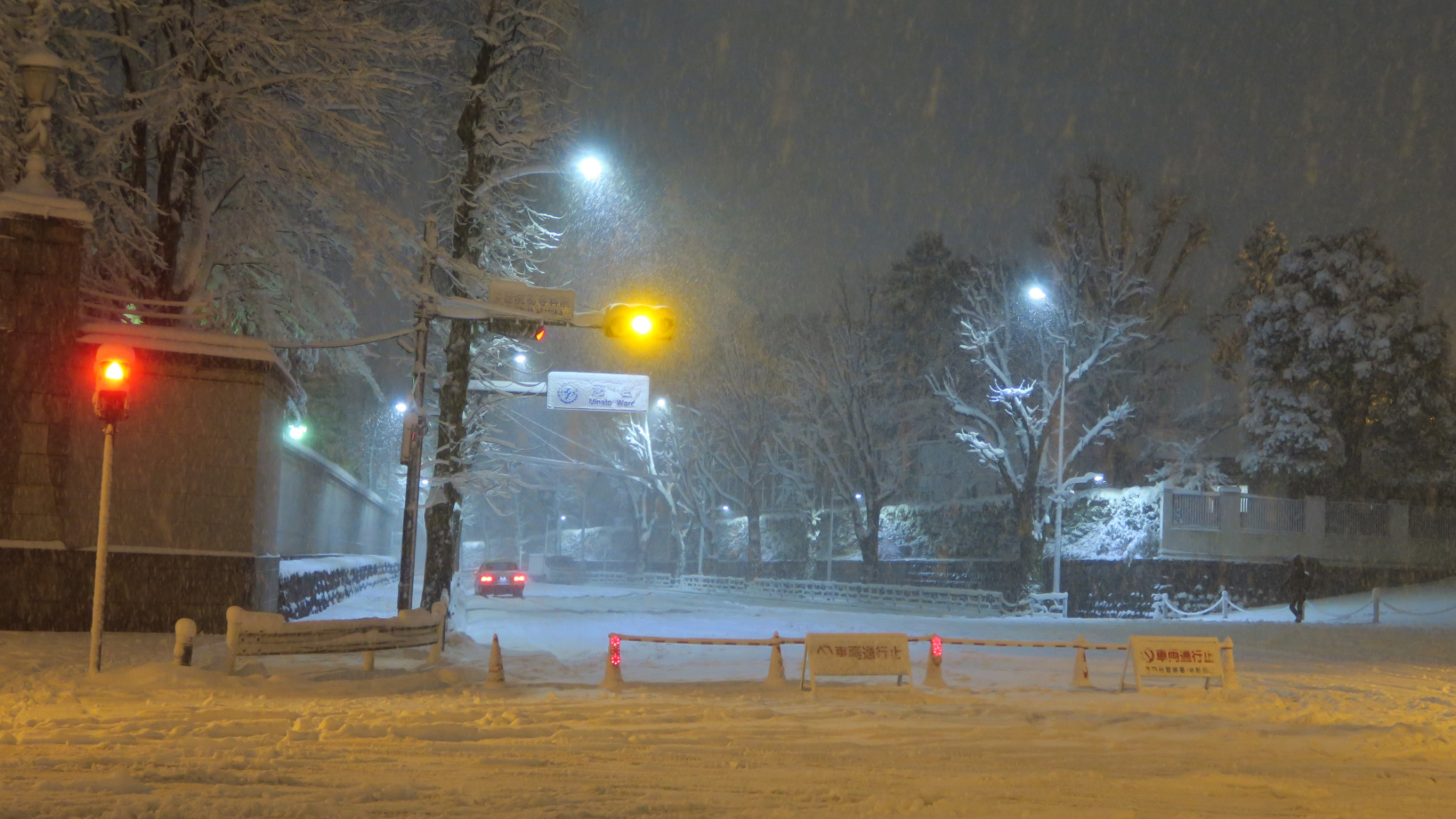 One winter day in Tokyo - My, Japan, Tokyo, Snow, Winter, The photo, Longpost