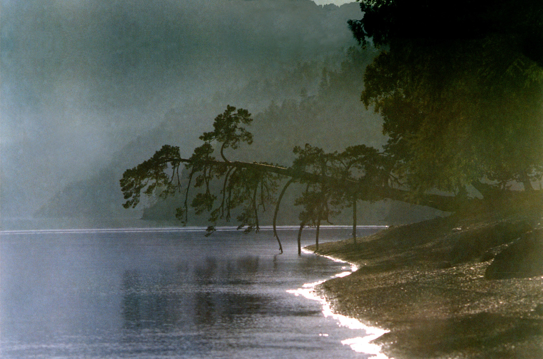 Old photo, Teletskoye Lake - My, Landscape, The photo, Lake, Nature, Teletskoe lake, Pine