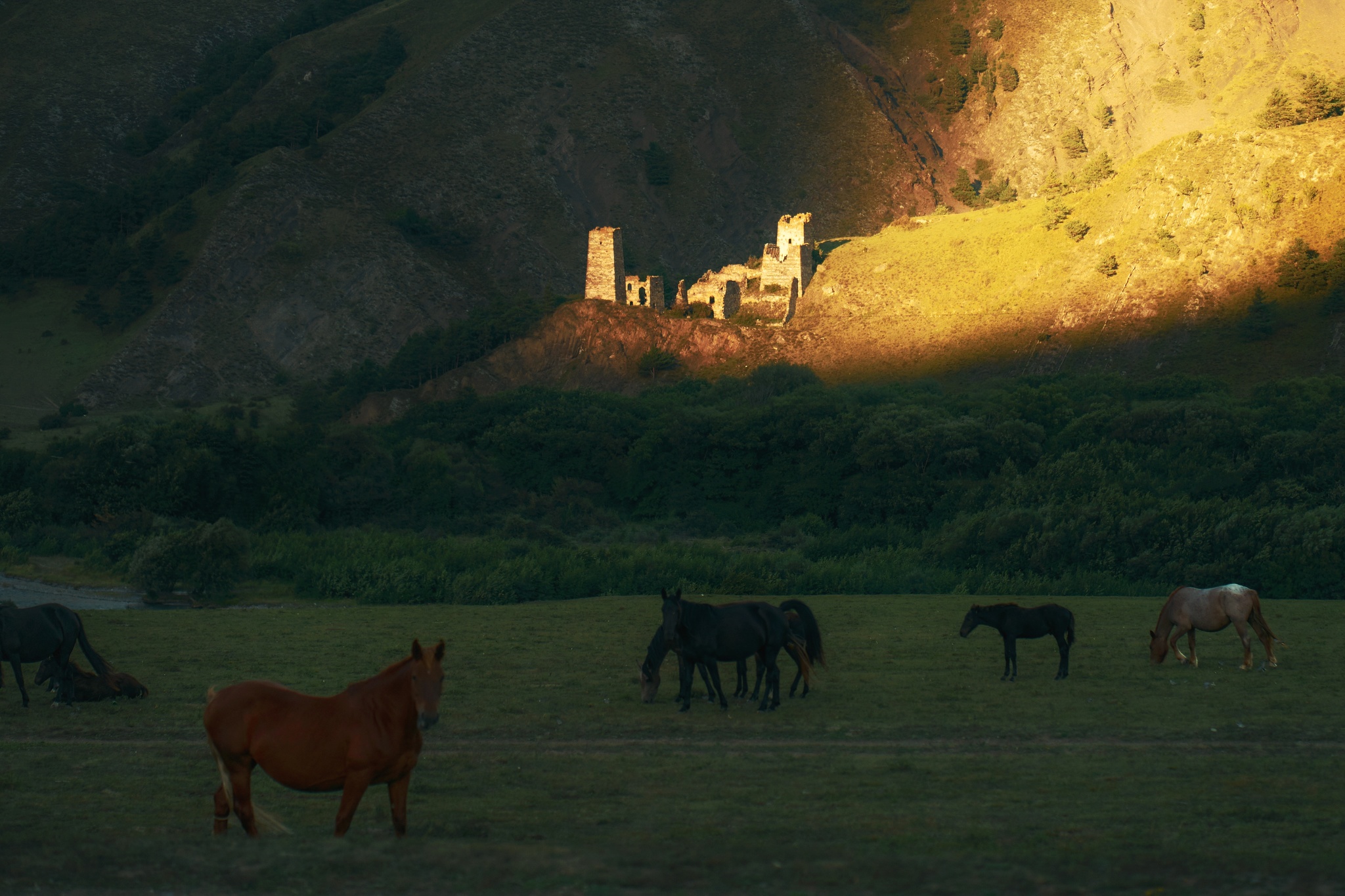 Ingushetia in September - My, The photo, Ingushetia, Caucasus, The mountains, Longpost