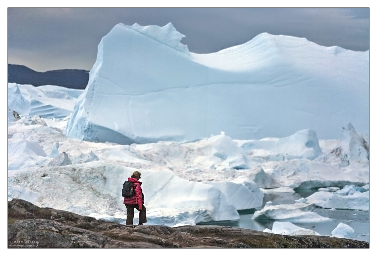 Visiting a Husky - My, Greenland, Dog, Husky, Iceberg, Island, The photo, Longpost