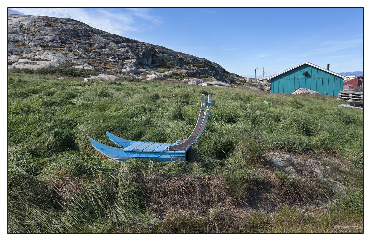 Visiting a Husky - My, Greenland, Dog, Husky, Iceberg, Island, The photo, Longpost