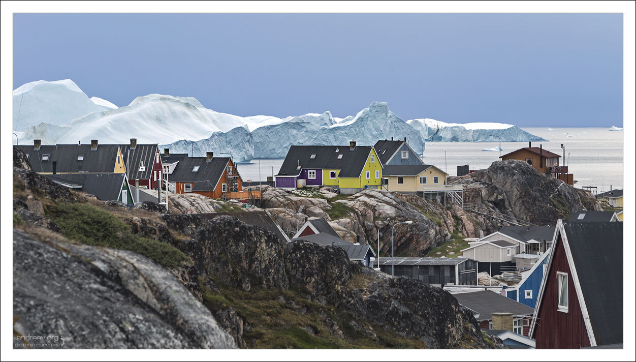 Visiting a Husky - My, Greenland, Dog, Husky, Iceberg, Island, The photo, Longpost