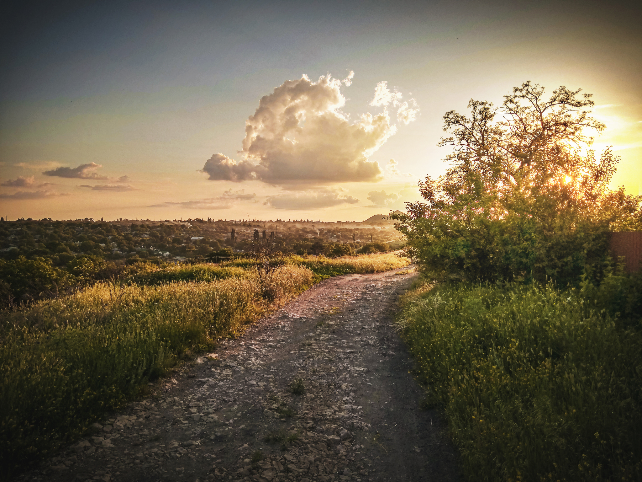 Roads ... - My, Photographer, Beginning photographer, Landscape, Mobile photography, Road, Longpost