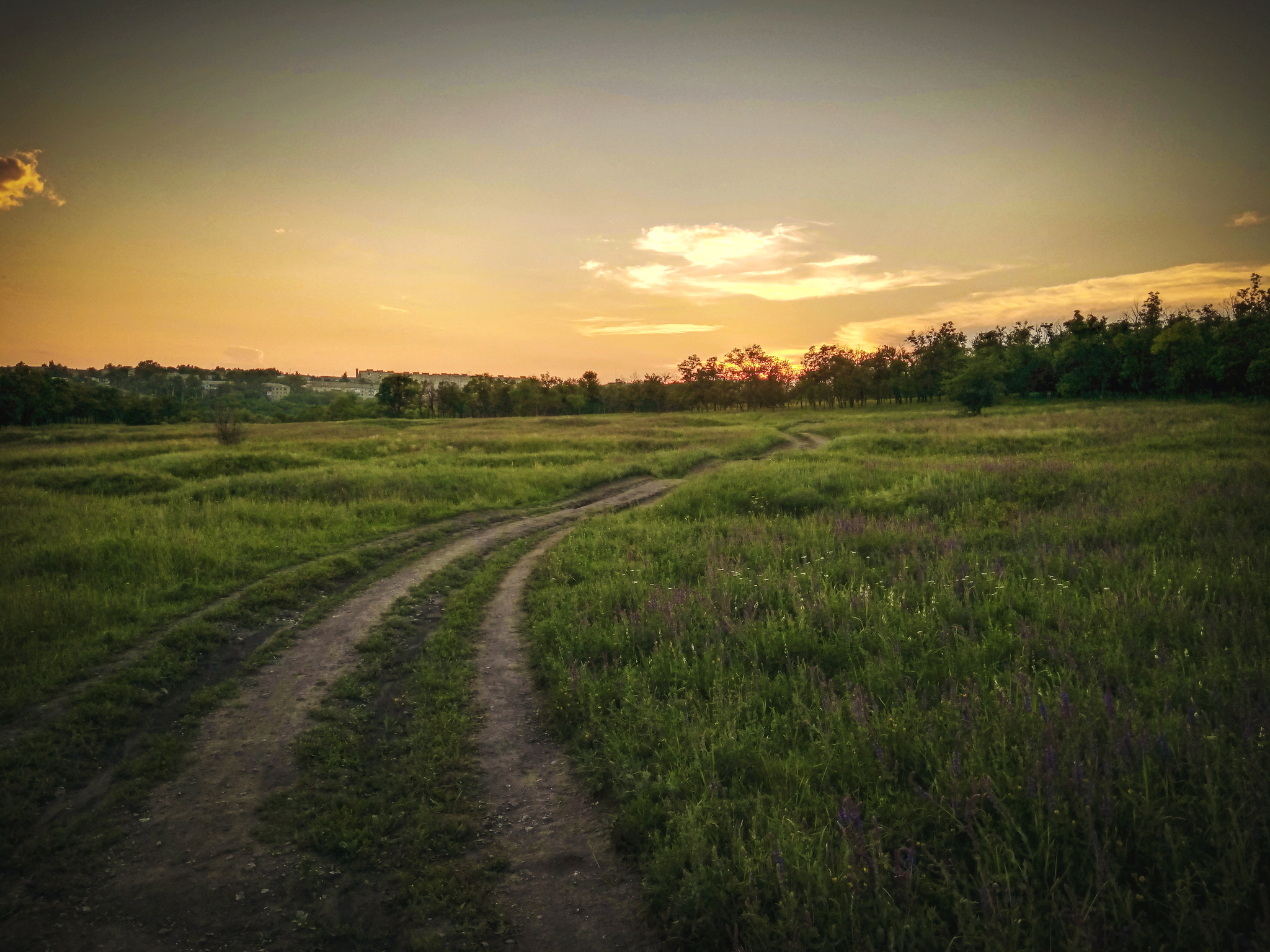 Roads ... - My, Photographer, Beginning photographer, Landscape, Mobile photography, Road, Longpost