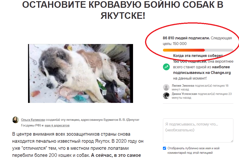 Why in the fight against the defenders of stray dogs we must win - Homeless animals, Stray dogs, Law, Петиция, Change org, Negative, news, Media and press, Radical animal protection, Animal defenders, civil position, Civil society, Children, Yakutsk, Longpost, No rating