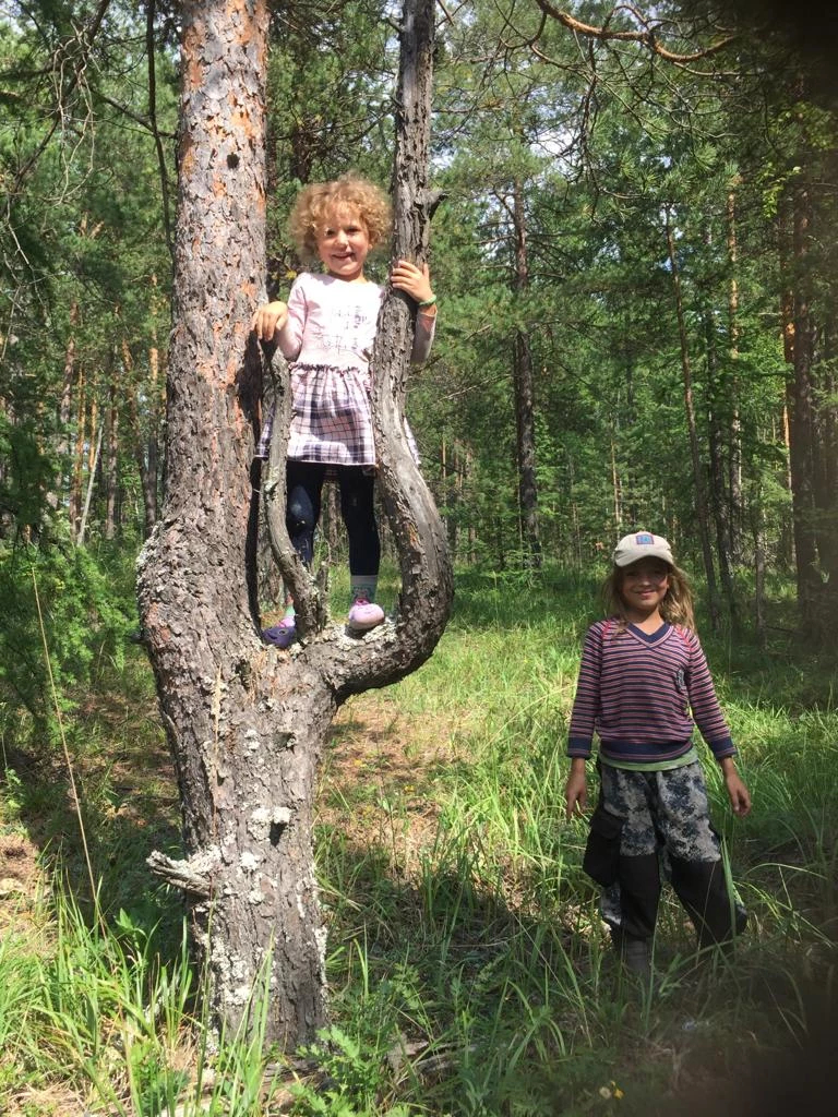 Адское чувство беспомощности»: опека отказывается возвращать детей  родноверу из уральского поселка | Пикабу