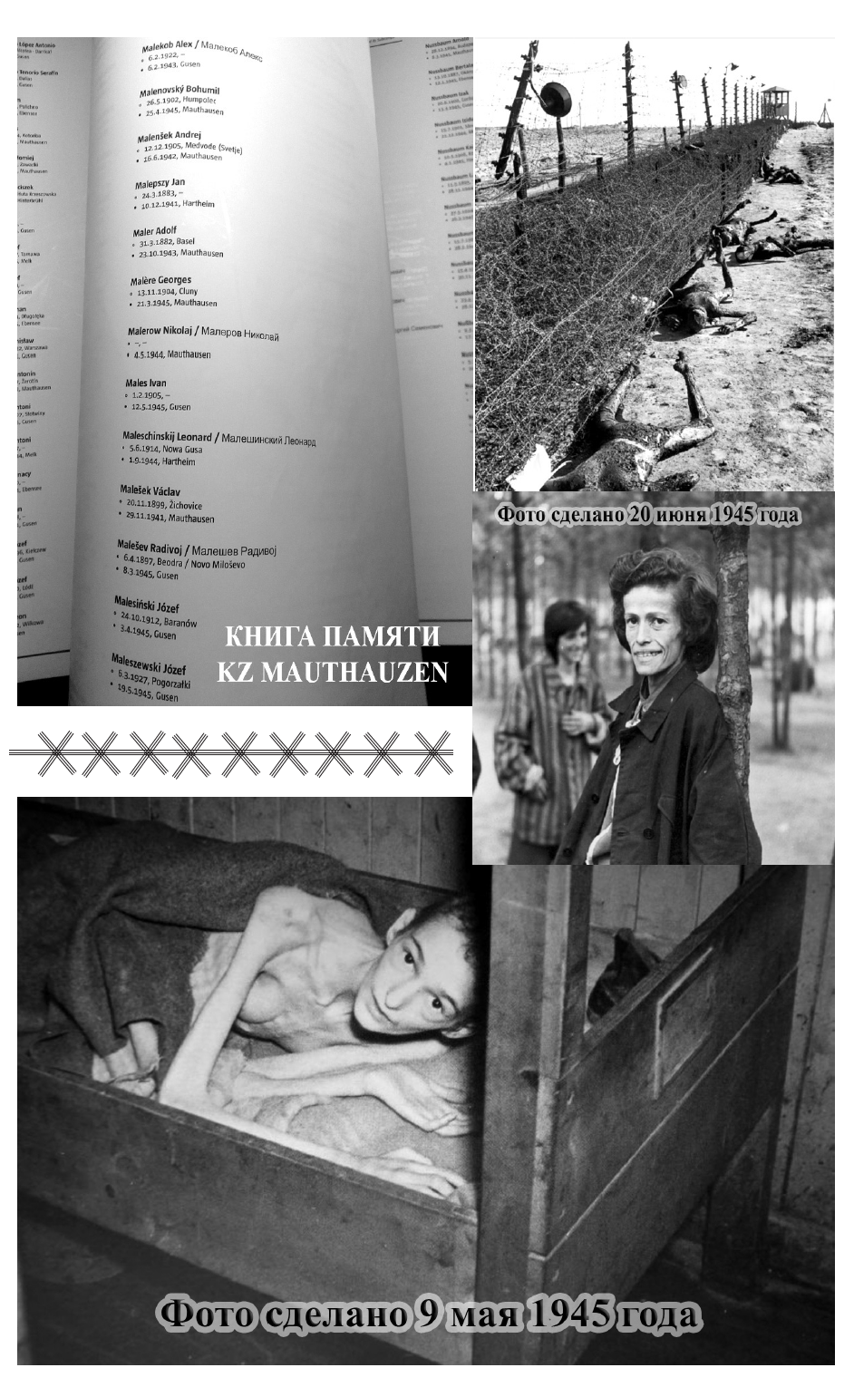 Mauthausen - My, The Great Patriotic War, The Second World War, Concentration camp inmates, Concentration camp, Mauthausen, General Karbyshev, Repeat, Longpost, Negative