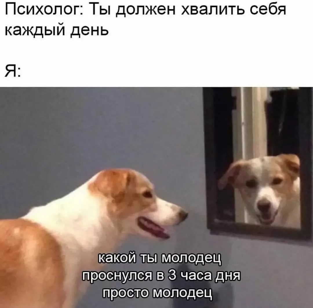 Good boy - Pets, Dog, Психолог, Picture with text