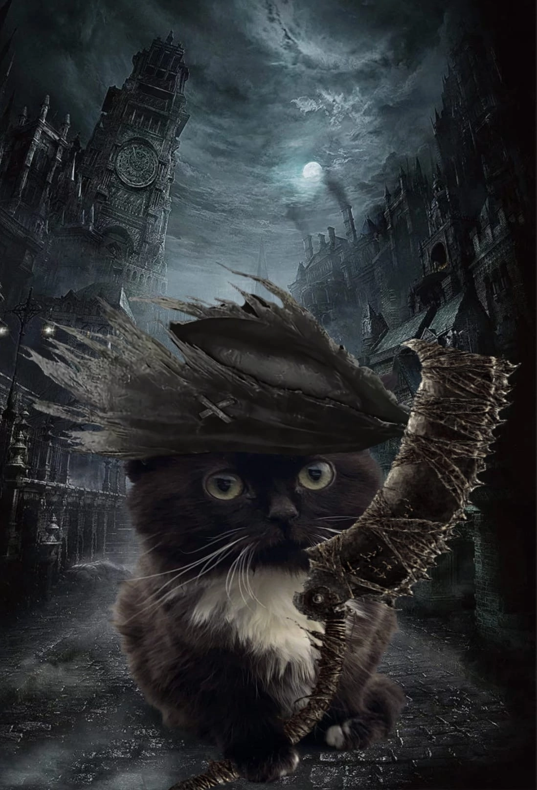 Night tygydyk Yarnam - Games, Bloodborne, cat, Humor, Memes