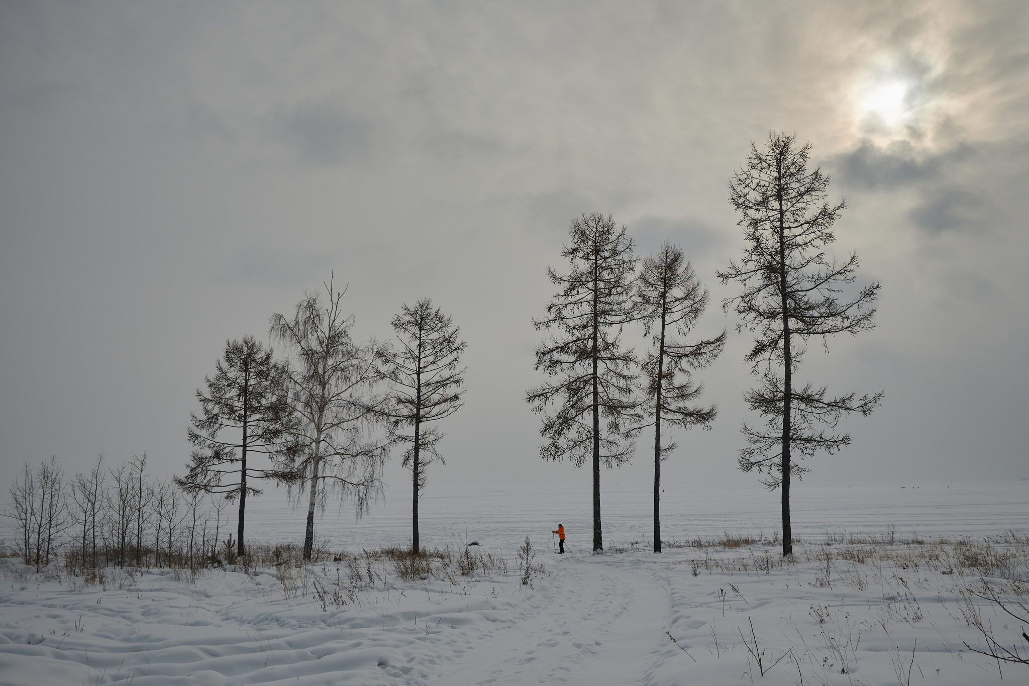 Lone Skier - My, Winter, Skiers, Walk, Nikon