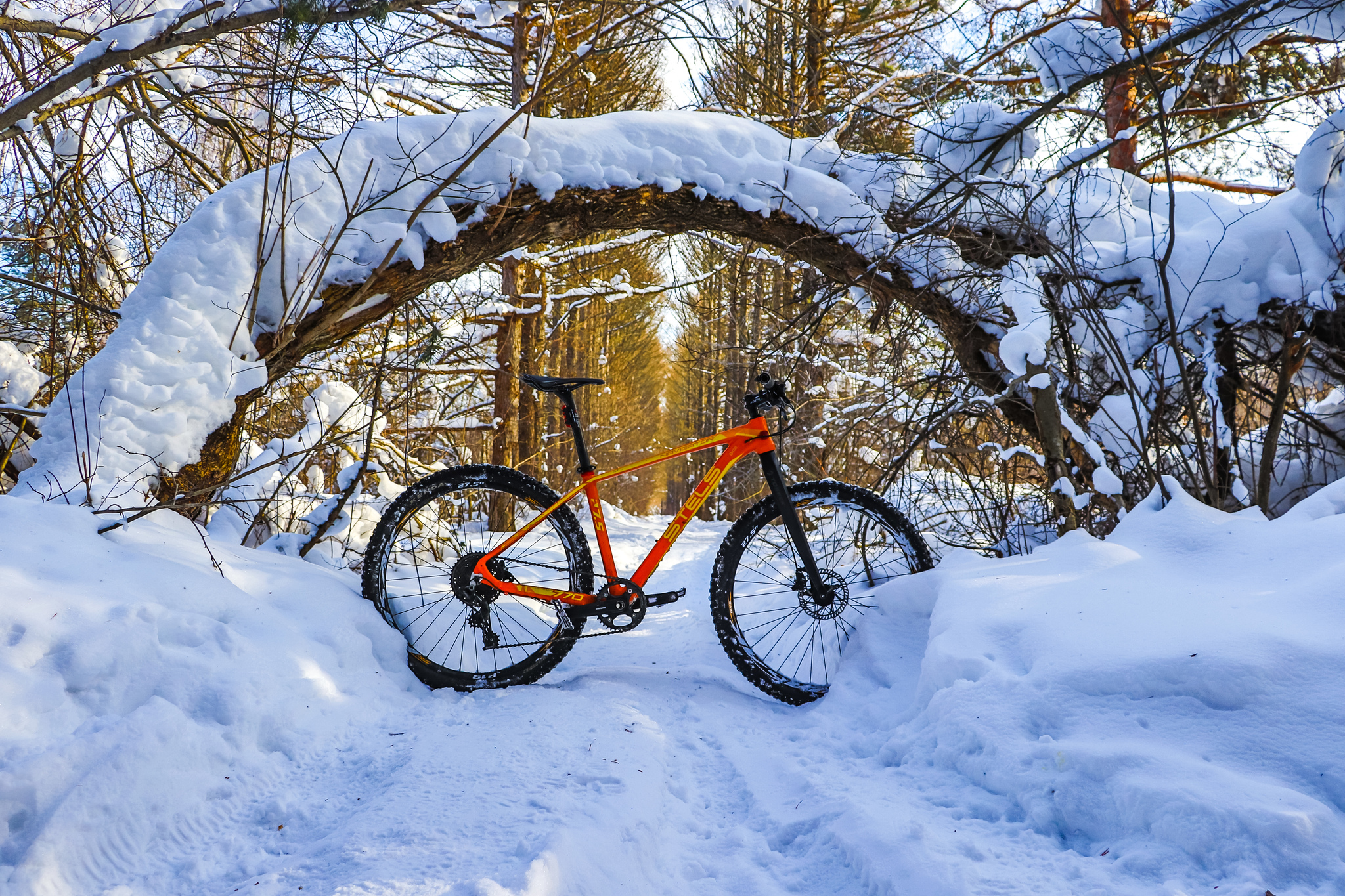 Зима какие велосипеды. Зимний велосипед. Зимнтй велоси. Велосипед для зимы. Зимние велосипеды взрослые.