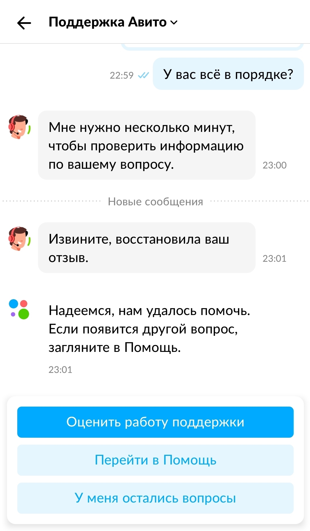 Avito поддержка - Моё, Авито, Длиннопост, Отзыв, Бомбануло, Служба поддержки, Переписка
