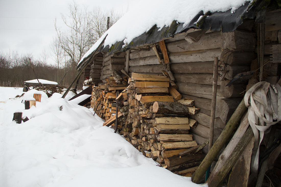 The forest animal here walks like a domestic animal. The story of a man who lives alone in a dying village - Village, Republic of Belarus, Life stories, Abandoned villages, Horses, Interview, Onliner by, Longpost