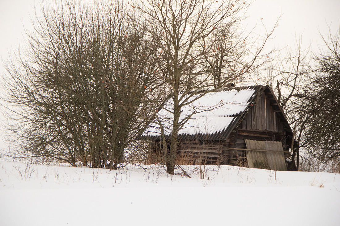 The forest animal here walks like a domestic animal. The story of a man who lives alone in a dying village - Village, Republic of Belarus, Life stories, Abandoned villages, Horses, Interview, Onliner by, Longpost