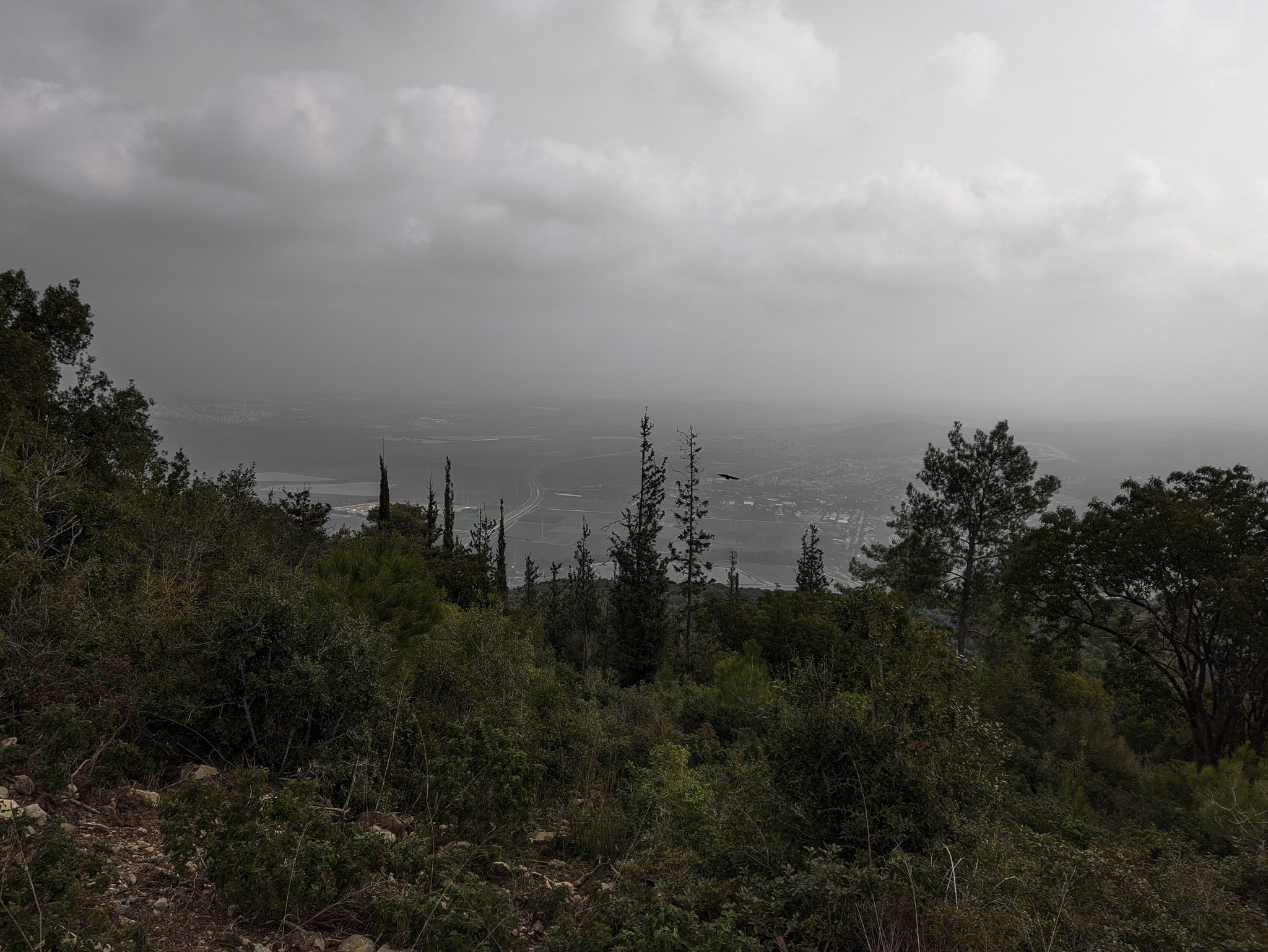 Cycling on Mount Carmel, Haifa - 19/02/22 | Longpost - My, Cycling, A bike, Israel, The mountains, Beautiful view, Longpost