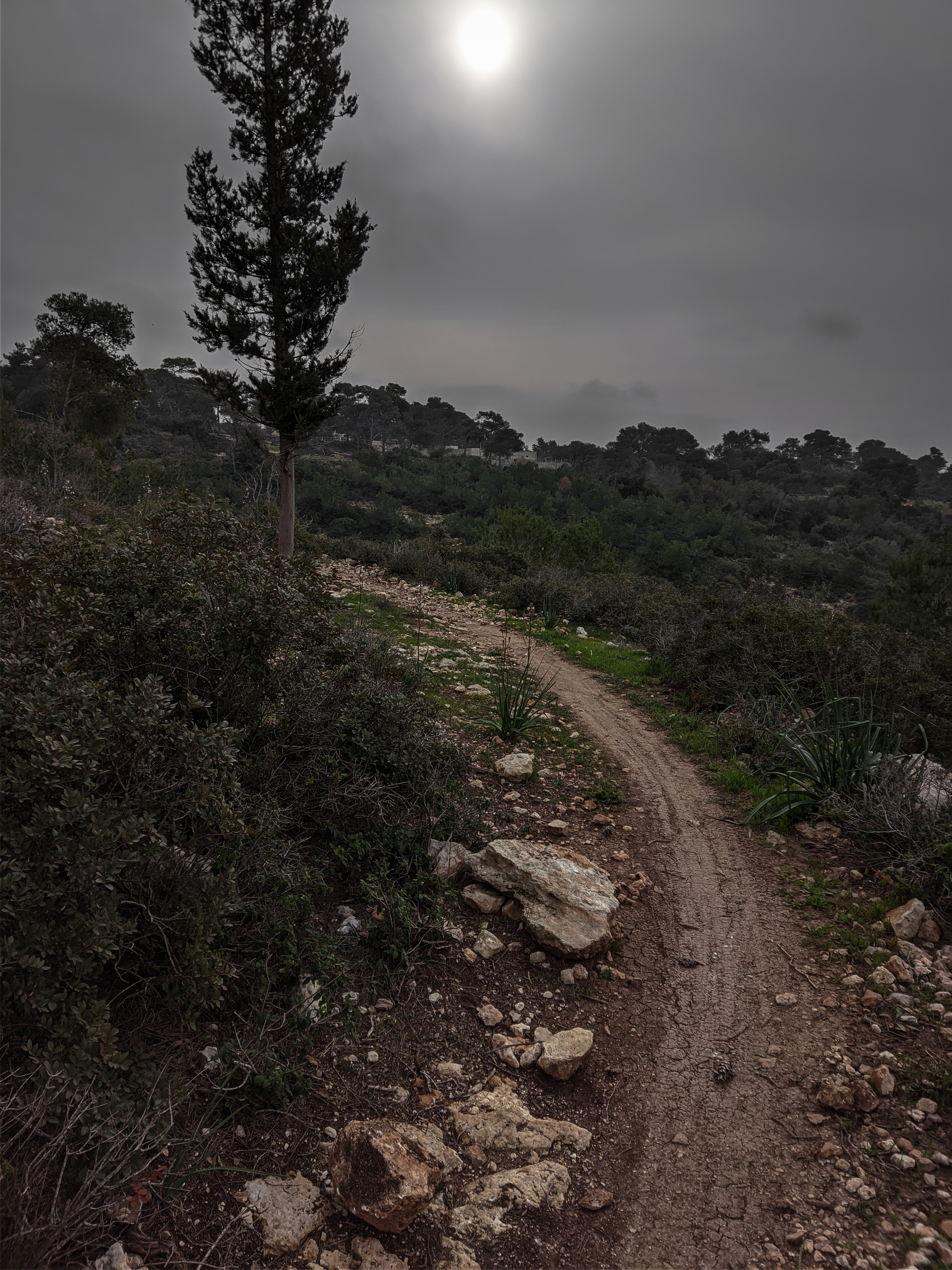 Cycling on Mount Carmel, Haifa - 19/02/22 | Longpost - My, Cycling, A bike, Israel, The mountains, Beautiful view, Longpost