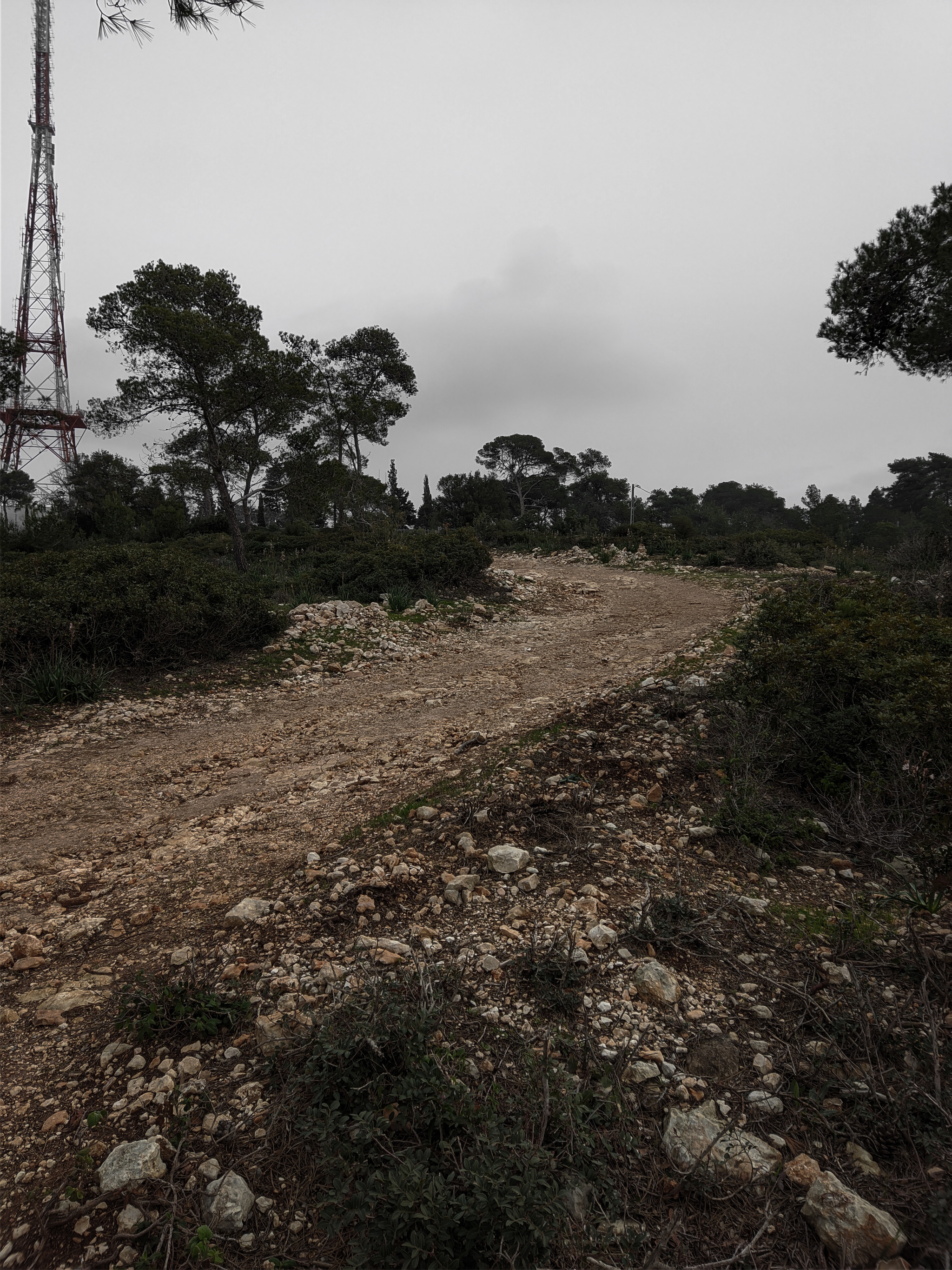 Cycling on Mount Carmel, Haifa - 19/02/22 | Longpost - My, Cycling, A bike, Israel, The mountains, Beautiful view, Longpost